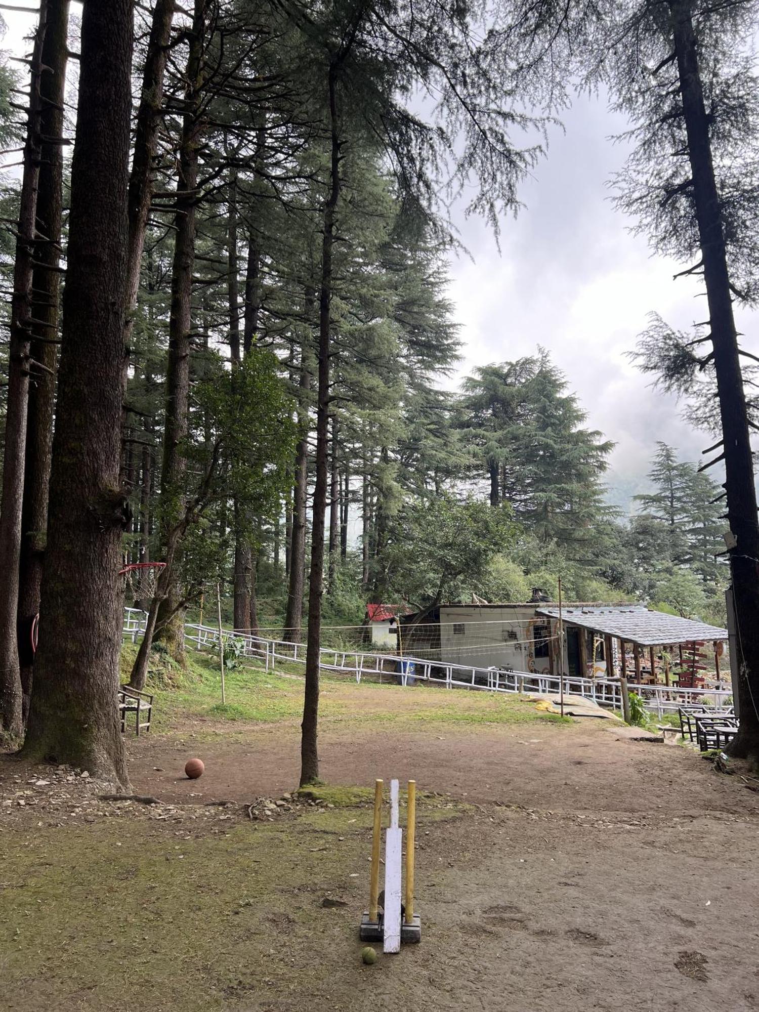Himtrek Stays,Mcleodganj แมคลอยด์กันจ์ ภายนอก รูปภาพ