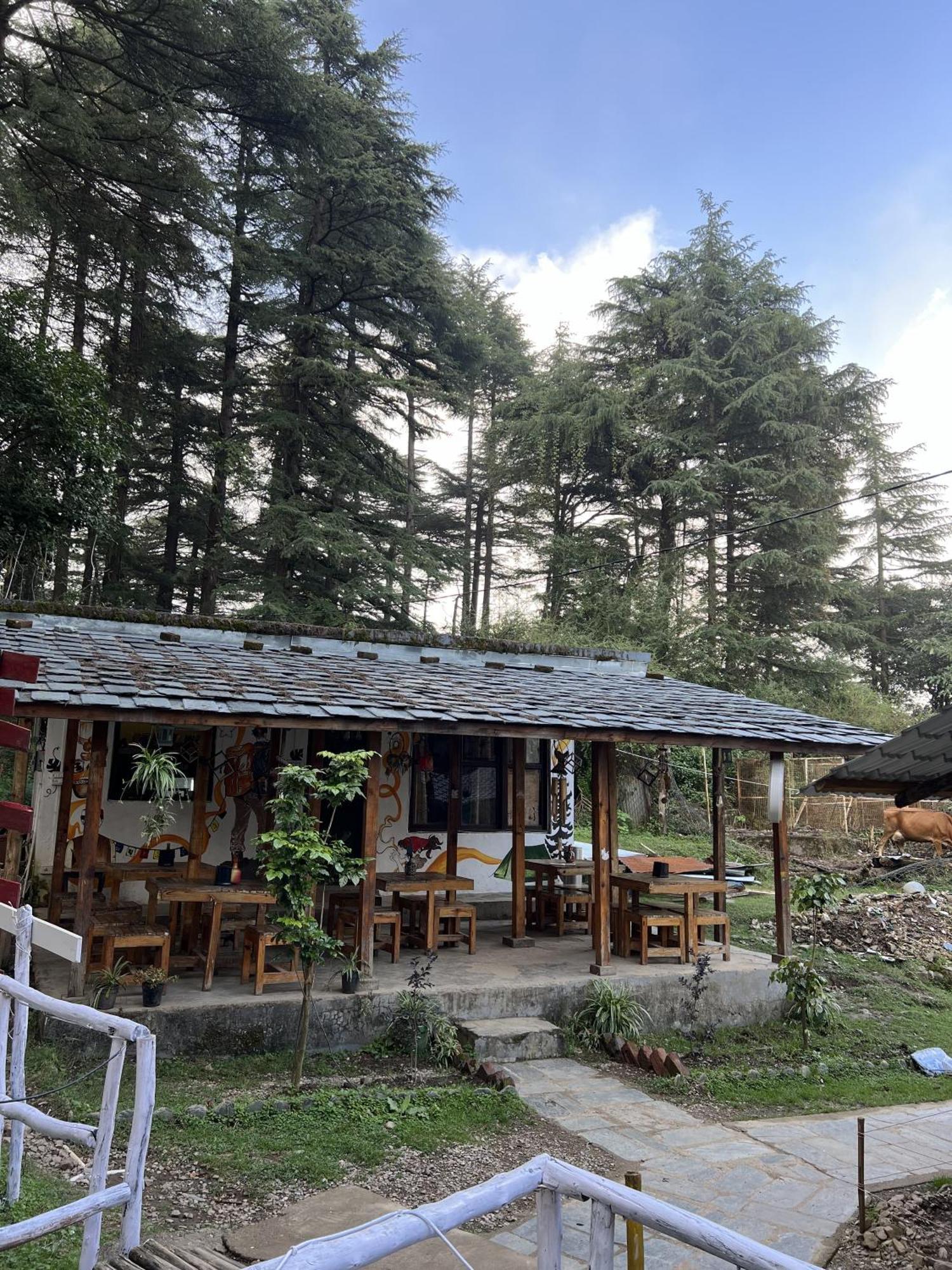 Himtrek Stays,Mcleodganj แมคลอยด์กันจ์ ภายนอก รูปภาพ