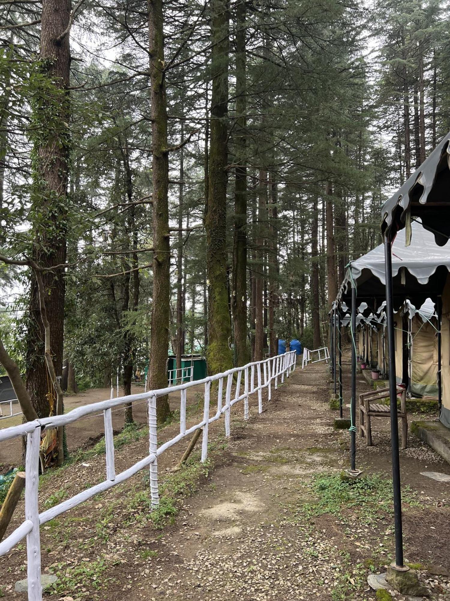 Himtrek Stays,Mcleodganj แมคลอยด์กันจ์ ภายนอก รูปภาพ