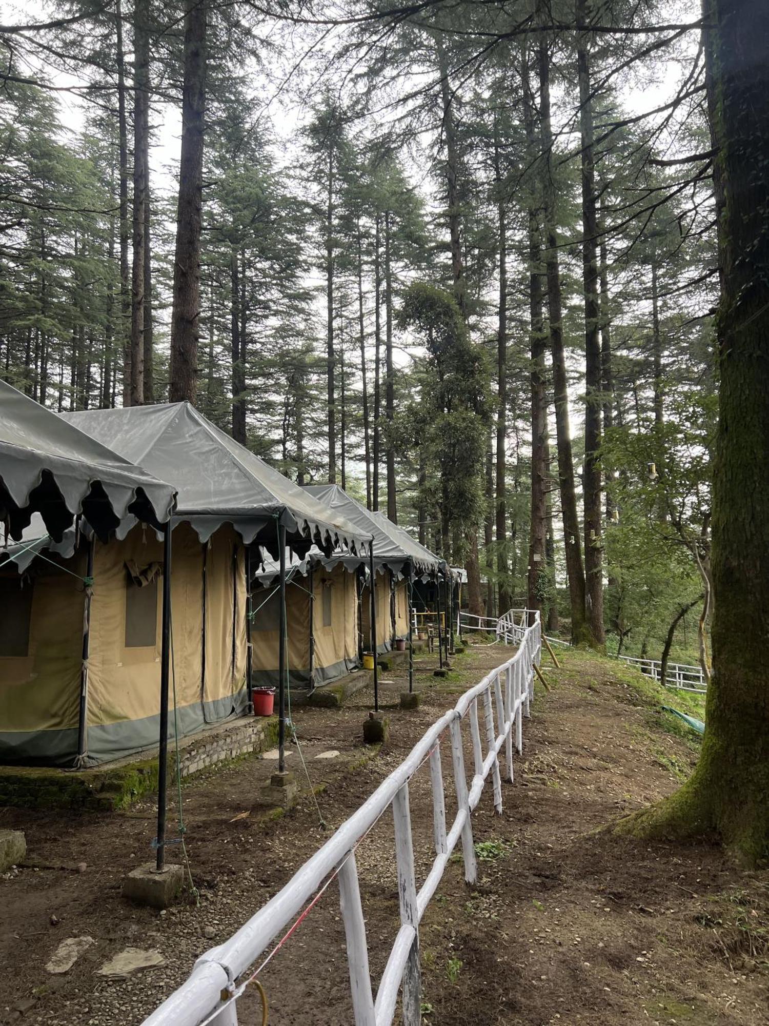 Himtrek Stays,Mcleodganj แมคลอยด์กันจ์ ภายนอก รูปภาพ