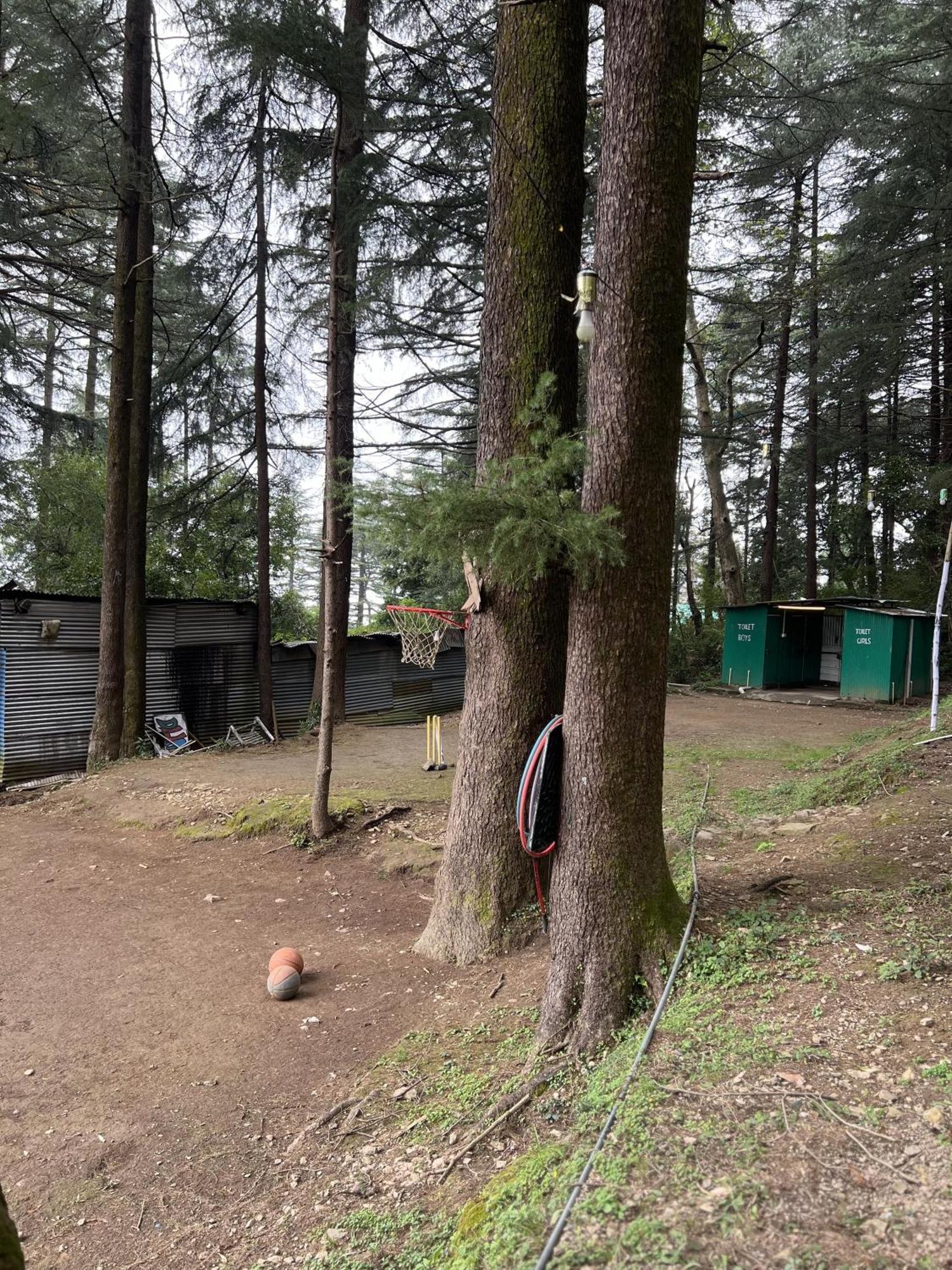 Himtrek Stays,Mcleodganj แมคลอยด์กันจ์ ภายนอก รูปภาพ