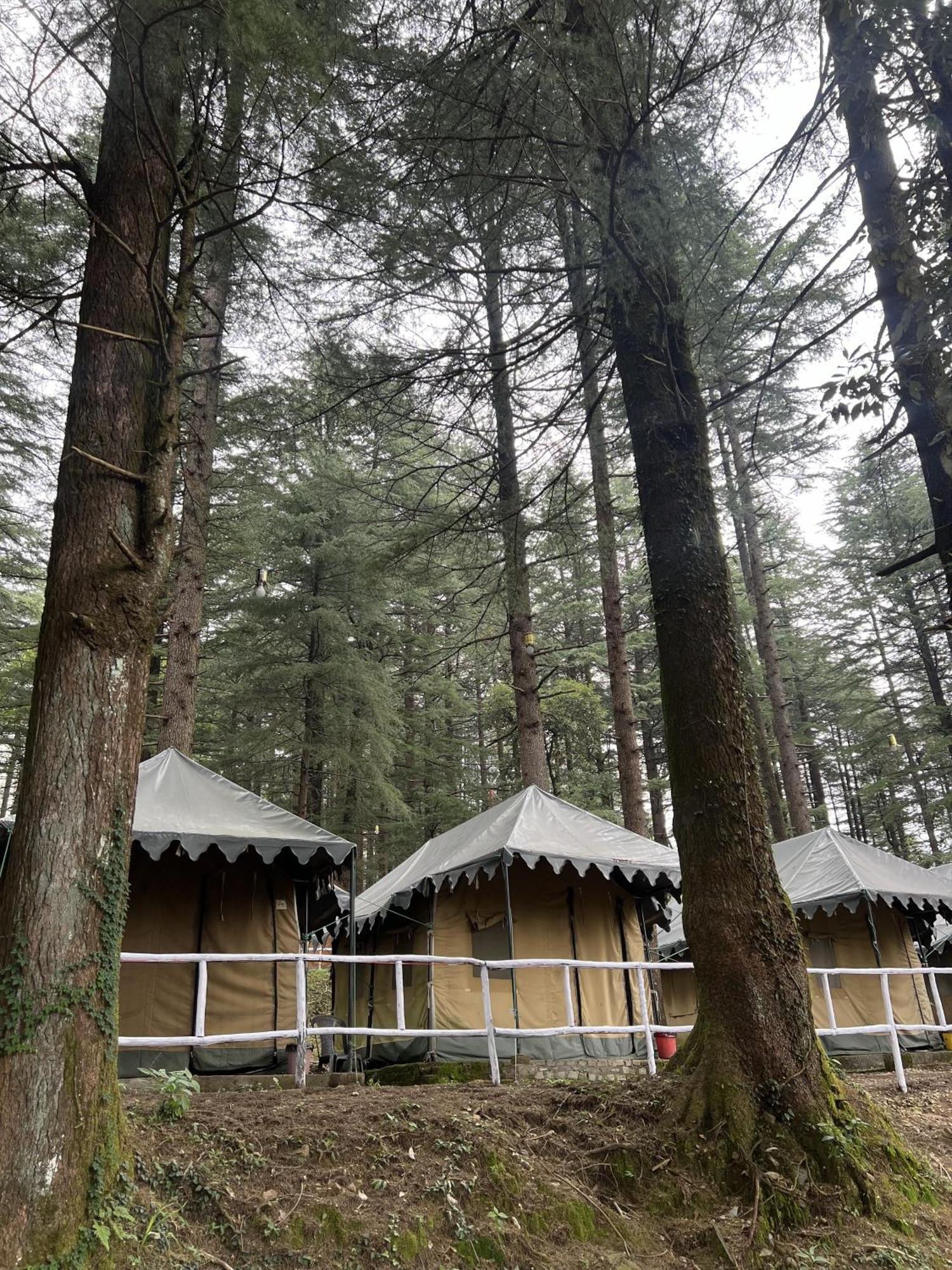 Himtrek Stays,Mcleodganj แมคลอยด์กันจ์ ภายนอก รูปภาพ