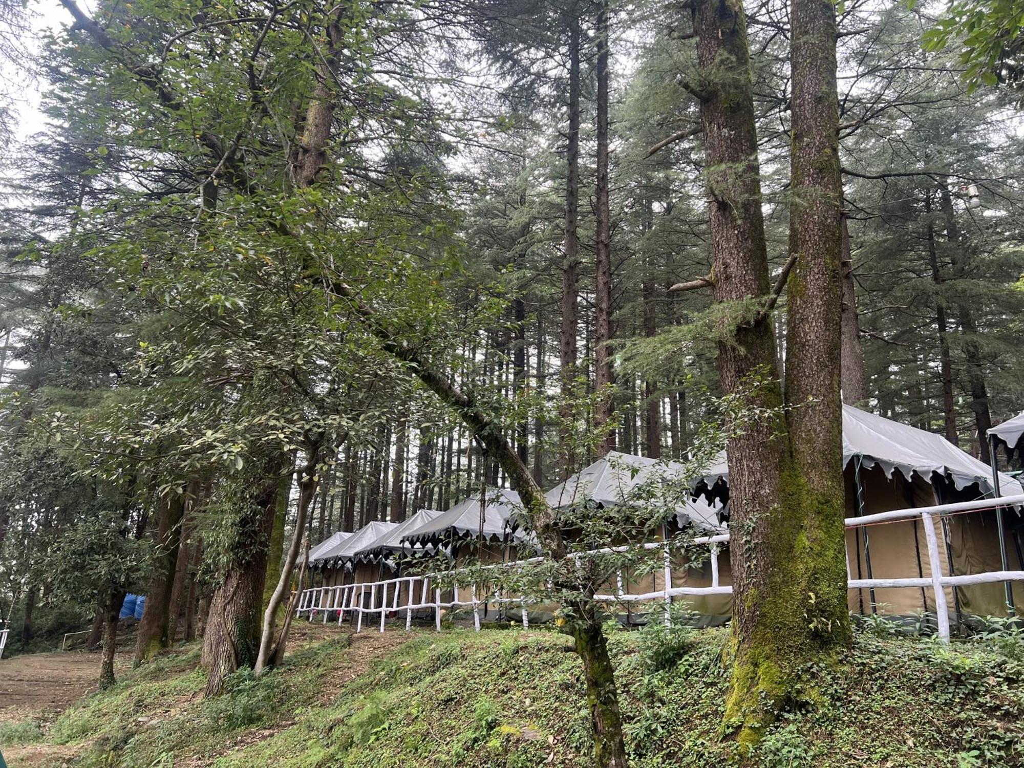 Himtrek Stays,Mcleodganj แมคลอยด์กันจ์ ภายนอก รูปภาพ