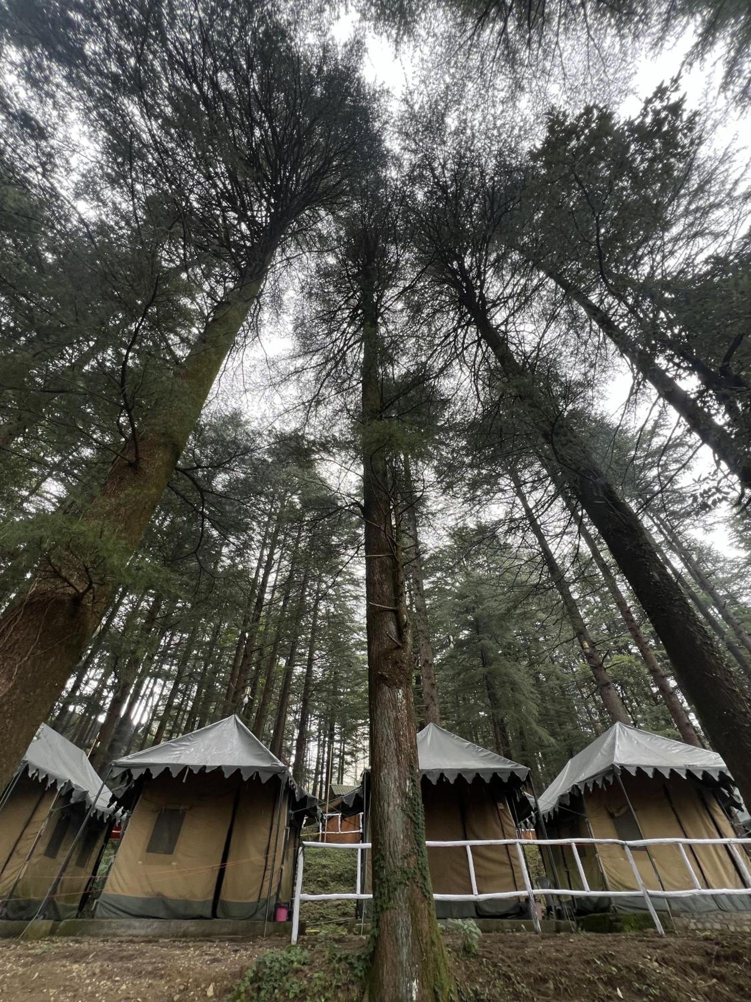 Himtrek Stays,Mcleodganj แมคลอยด์กันจ์ ภายนอก รูปภาพ